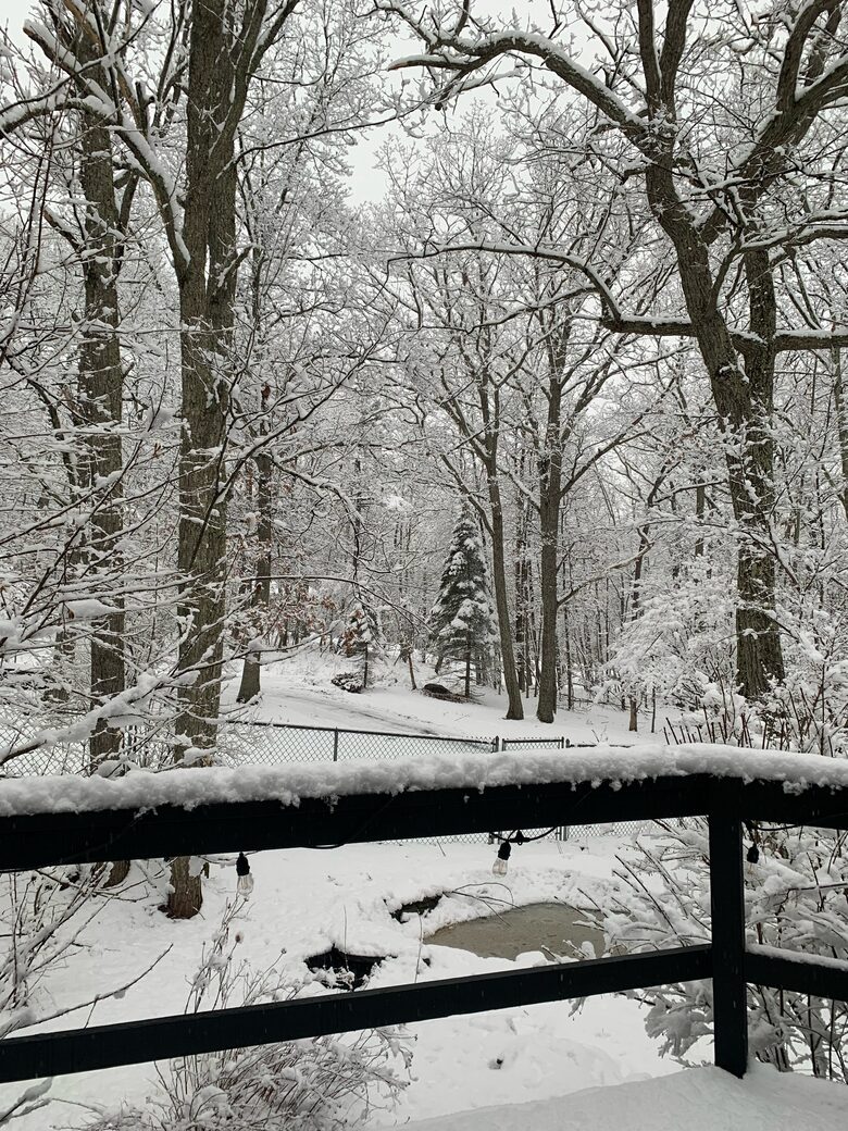 Pocono Mountains 4 Acre Oasis - Heated Pool, Hot Tub, Gameroom - Barrett Township, Pennsylvania