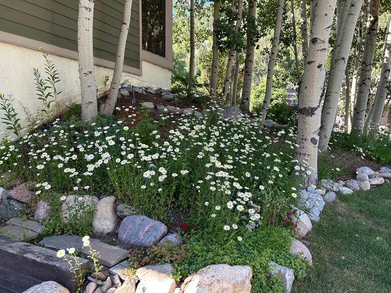 Golf & Ski Townhome near Vail & Beaver Creek - Avon, Colorado
