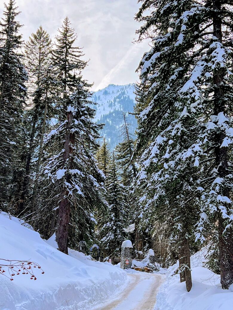 Vintage Mountain Retreat above Sundance Resort - Sundance, Utah