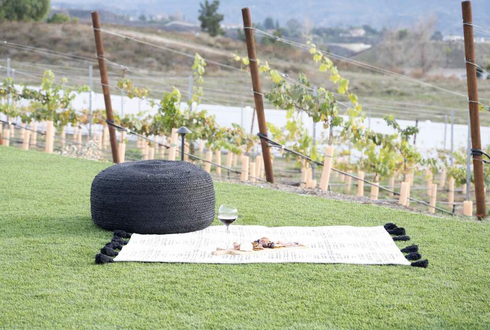 Luxury Vineyard Estate - Temecula, California