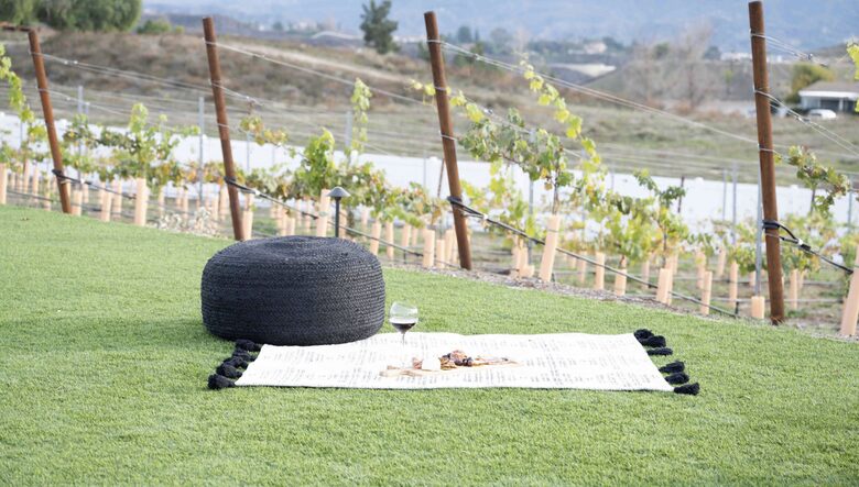 Luxury Vineyard Estate - Temecula, California