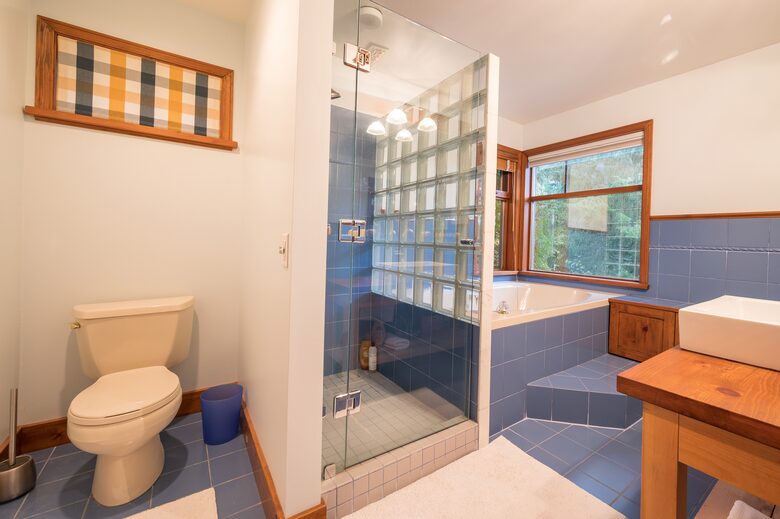 Downstairs master bedroom - shower (bath not functioning)