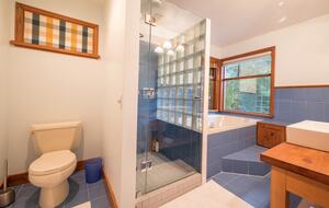 Downstairs master bedroom - shower (bath not functioning)