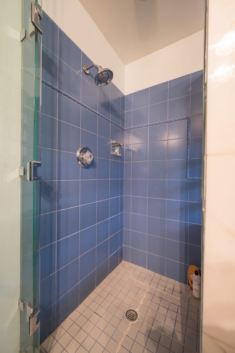 Downstairs master bathroom shower