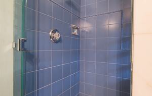 Downstairs master bathroom shower