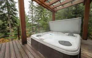 Stunning Slopeside Chalet - Whistler, Canada
