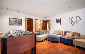 Entertainment room with TV