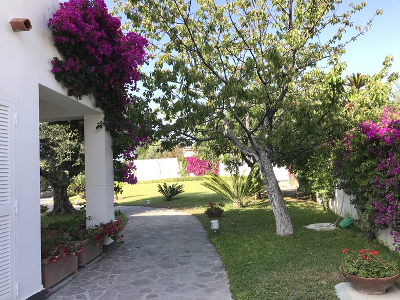 Villa Annalaura - Ischia, Italy