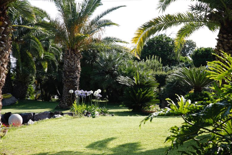 Villa Annalaura - Ischia, Italy