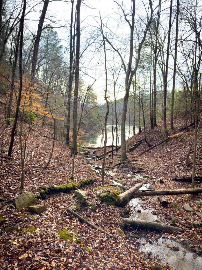 Whispering Winds Mountain Retreat - Ellijay, Georgia