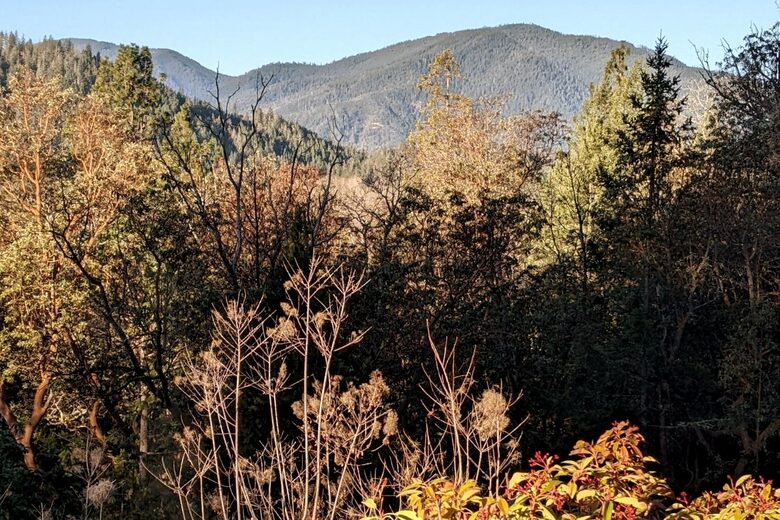 Wine Country Estate - Grants Pass, Oregon