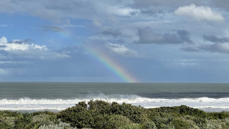 Sea-lah - Melbourne Beach, Florida
