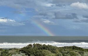 Sea-lah - Melbourne Beach, Florida