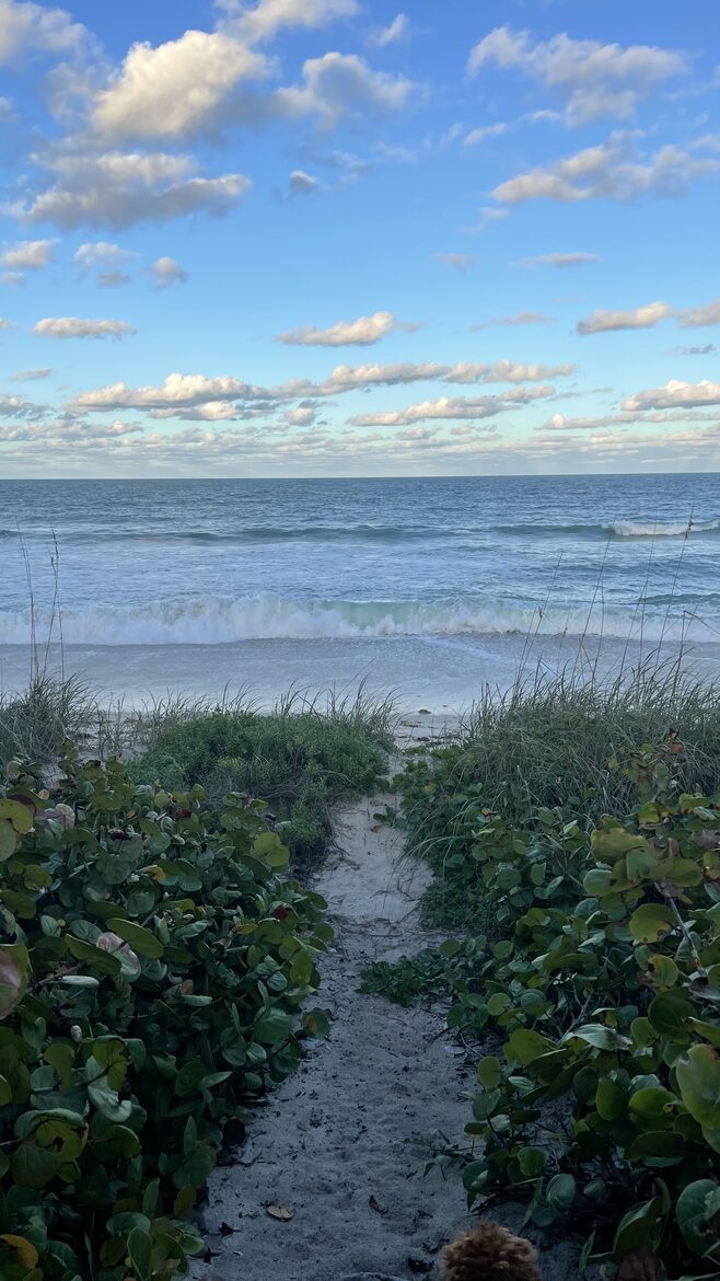 Sea-lah - Melbourne Beach, Florida