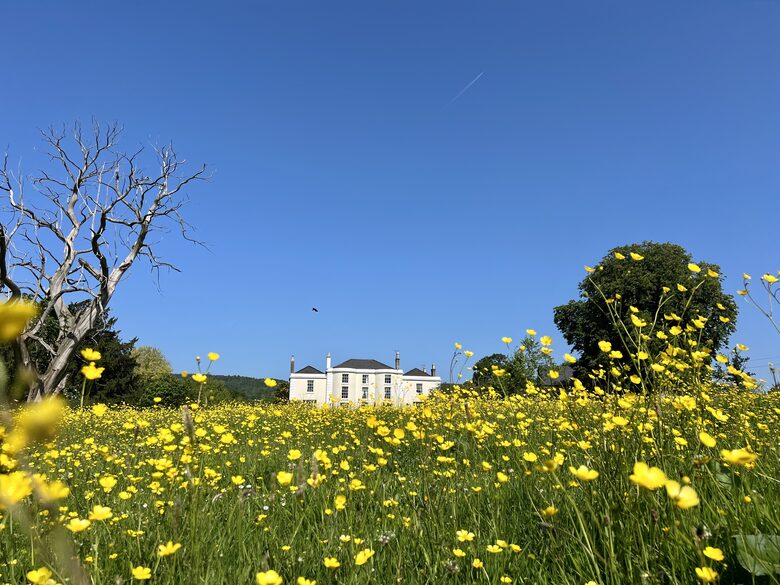 Old Rectory Manor House - exterior & garden & meadow