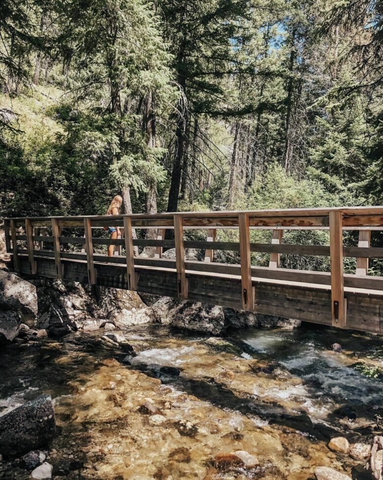 The Lodge at Mill Creek - Hamilton, Montana