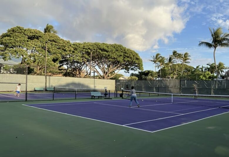 Maui Oceanfront, Stunning view! Sunshine, Ocean Activities, Golf, Pickleball, Tennis and World Class Restaurants! - Lahaina, Hawaii