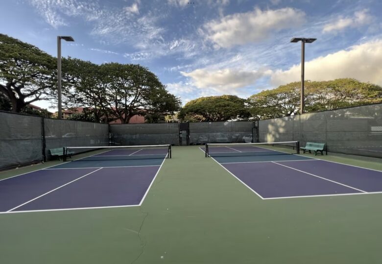 Maui Oceanfront, Stunning view! Sunshine, Ocean Activities, Golf, Pickleball, Tennis and World Class Restaurants! - Lahaina, Hawaii