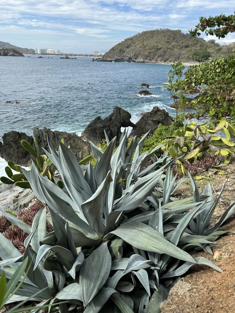 Pacific Paradise - Ixtapa de Azueta, Mexico