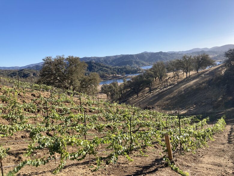 LaMargarita | Stunning Lake Views & Access - Santa Margarita, California