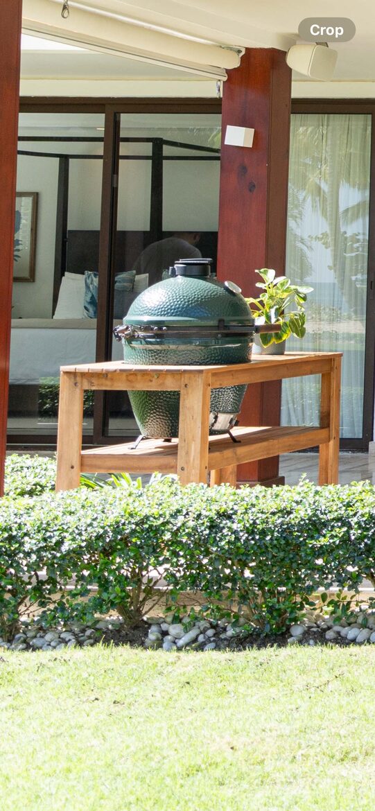 Big Green Egg BBQ