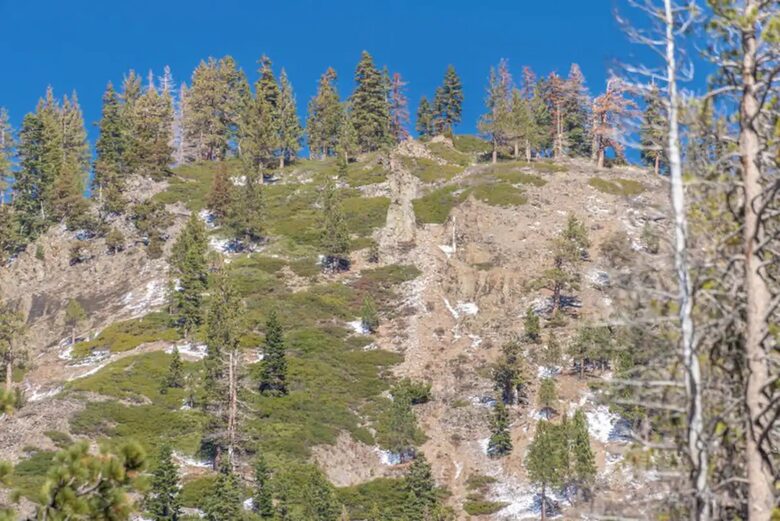 Alpine Meadow Ski Home | Near Lake Tahoe - Alpine Meadows, California