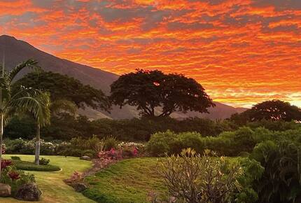Ohana Guest House - Lahaina, Hawaii