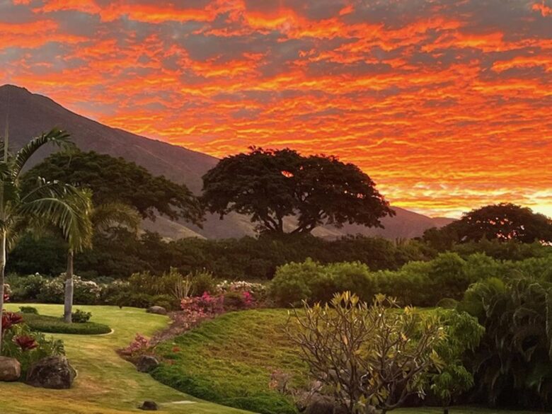 Ohana Guest House - Lahaina, Hawaii