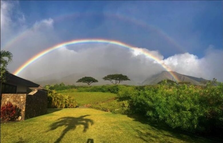 Ohana Guest House - Lahaina, Hawaii