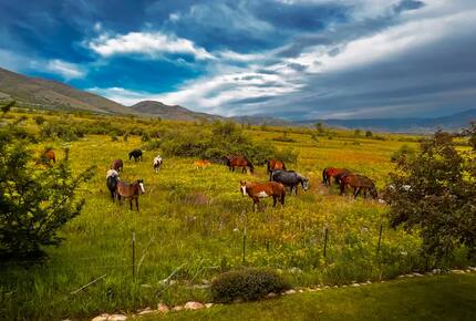 Wild Horse Lodge - Eden, Utah