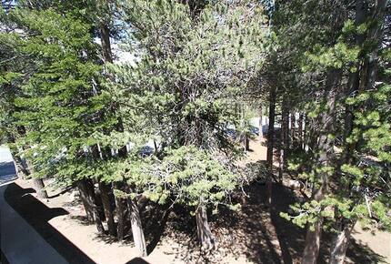 Mammoth Lakes Retreat - Mammoth Lakes, California