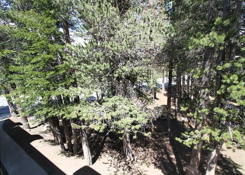 Mammoth Lakes Retreat - Mammoth Lakes, California