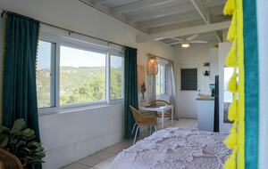 The Palm | Ocean View Studio - St John, Virgin Islands, U.S.