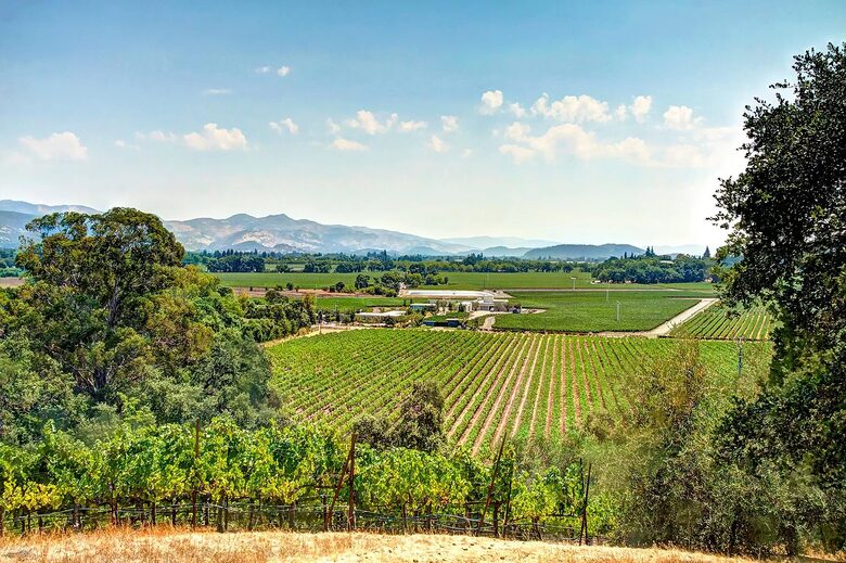 Blissful Bordeaux Bungalow - Saint Helena, California