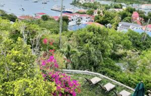 The Moon | Garden Suite - St John, Virgin Islands, U.S.