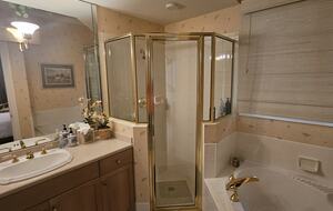 Guest room bath