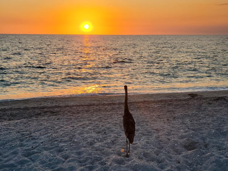 Sanibel Retreat on a Resort Island - Sanibel, Florida