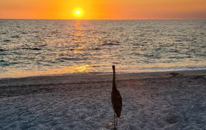 Sanibel Retreat on a Resort Island - Sanibel, Florida