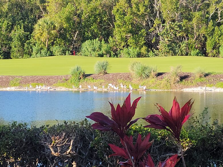 Sanibel Retreat on a Resort Island - Sanibel, Florida