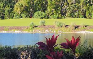 Sanibel Retreat on a Resort Island - Sanibel, Florida