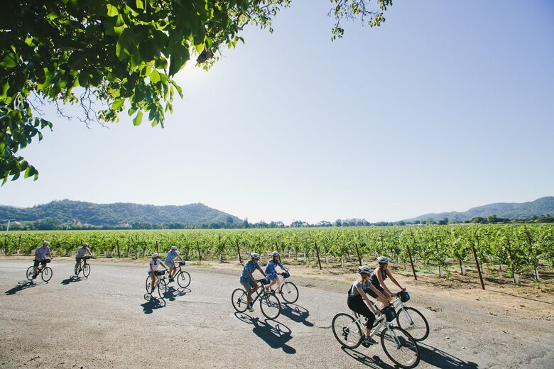 Napa Valley Bike Tours