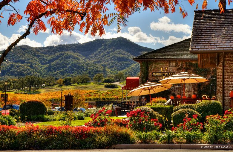 Fall in Yountville