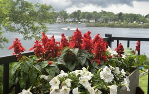 Mitten Getaway on All-Sports Tan Lake - Oxford, Michigan