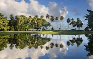 Dorado Beach East Residence - Dorado, Puerto Rico