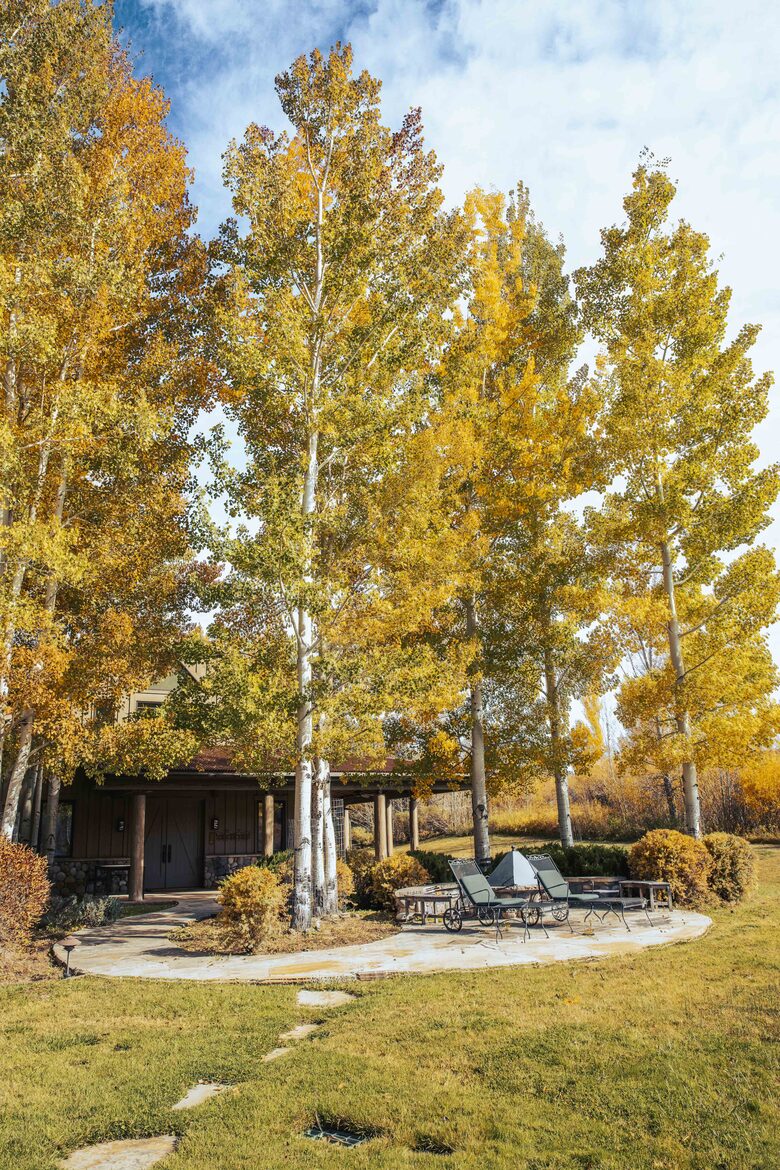 Stunner in Aspen/Snowmass - 25 Acre Mountain Perfection - Snowmass, Colorado