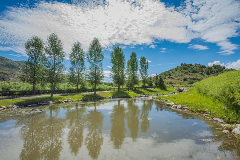 Stunner in Aspen/Snowmass - 25 Acre Mountain Perfection - Snowmass, Colorado
