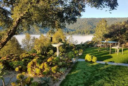 Gorgeous View Above the Trees - Boulder Creek, California