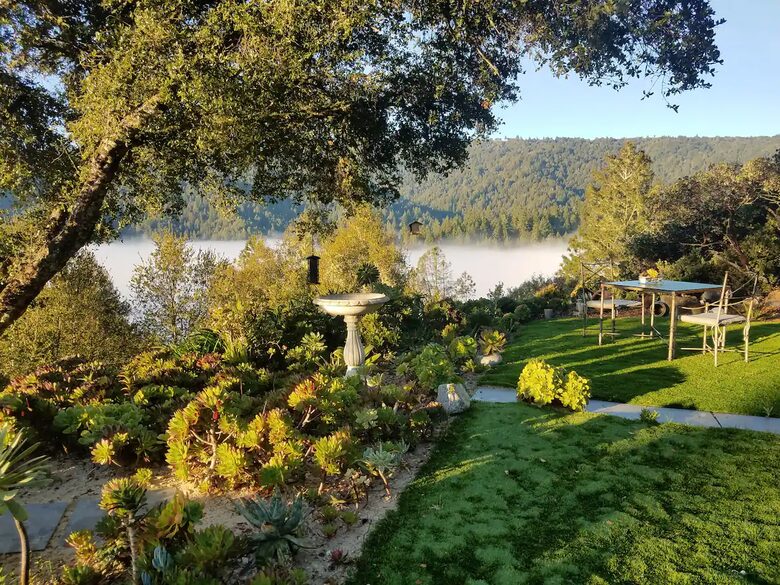 Gorgeous View Above the Trees - Boulder Creek, California