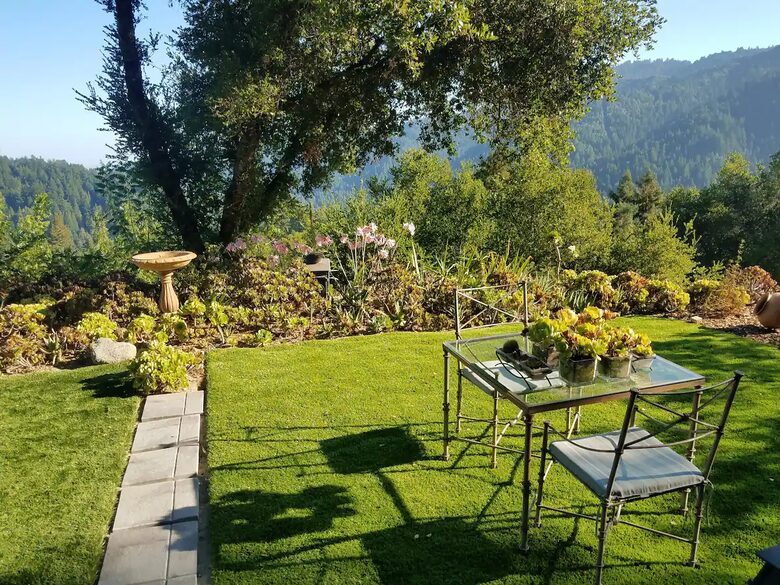 Gorgeous View Above the Trees - Boulder Creek, California