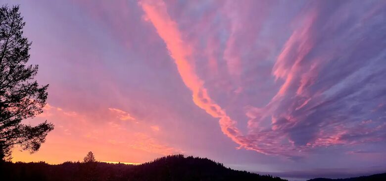 Gorgeous View Above the Trees - Boulder Creek, California